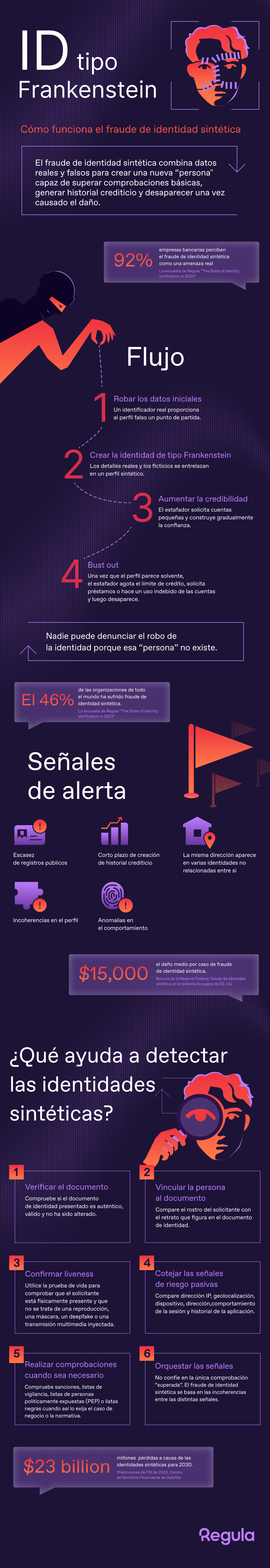 synthetic identity infographics